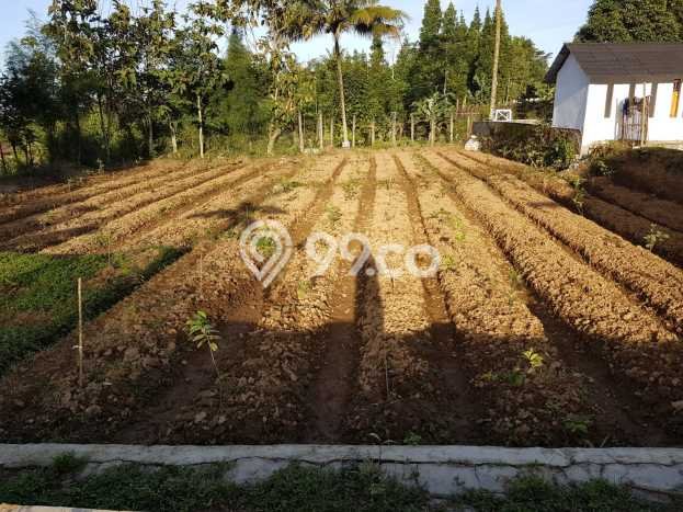 Lahan Kosong Dijual di Caringin, Sukabumi, Luas 4300m2 Area Strategis Lahan Kosong Dijual di Caringin, Sukabumi, Luas 4300m2 Area Strategis