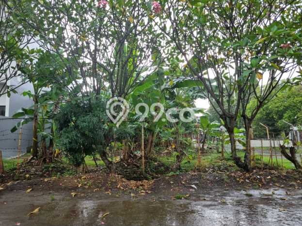 Lahan Investasi Lokasi Cinere Depok SHM Lahan Investasi Lokasi Cinere Depok SHM