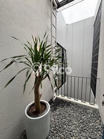 Rumah Luxury Modern Siap Huni di BSD Foresta Tangerang Rumah Luxury Modern Siap Huni di BSD Foresta Tangerang