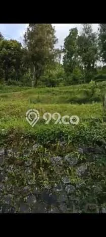 Lahan untuk Dijual di Pacet Mojokerto Luas 10300m2 Lahan untuk Dijual di Pacet Mojokerto Luas 10300m2
