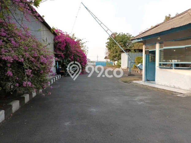 Area Ramai! Gudang Dijual di Sidoarjo untuk Bisnis Luas Bangunan 6200m2 Area Ramai! Gudang Dijual di Sidoarjo untuk Bisnis Luas Bangunan 6200m2