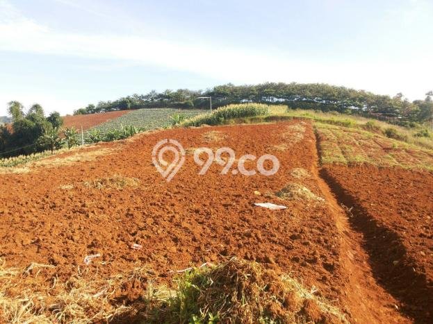 Tanah di Bandung, Serang Luas 14m2 Dijual Segera Tanah di Bandung, Serang Luas 14m2 Dijual Segera
