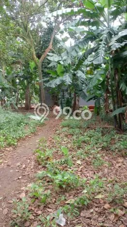 Kavling Tanah di Jagakarsa Dijual Luas 2000m2 Legalitas SHM Kavling Tanah di Jagakarsa Dijual Luas 2000m2 Legalitas SHM