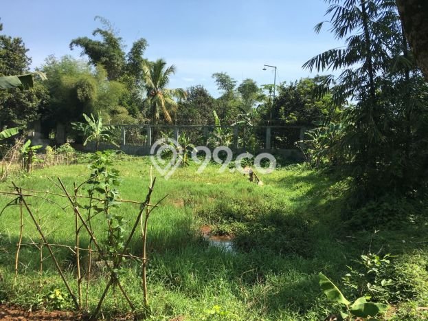Kavling Tanah Dijual di Pamijahan Bogor Spesifikasi 6543m2 Kavling Tanah Dijual di Pamijahan Bogor Spesifikasi 6543m2