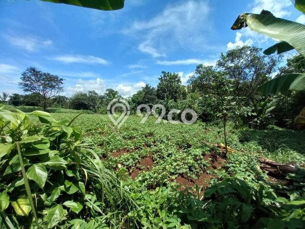 Kavling Tanah Dijual di Pamijahan Bogor Spesifikasi 6543m2 Kavling Tanah Dijual di Pamijahan Bogor Spesifikasi 6543m2