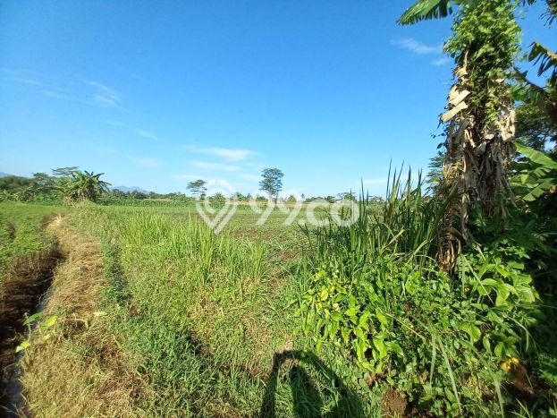 Dijual Tanah di Tenjolaya Bogor Luas 1562m2 SHM Dijual Tanah di Tenjolaya Bogor Luas 1562m2 SHM