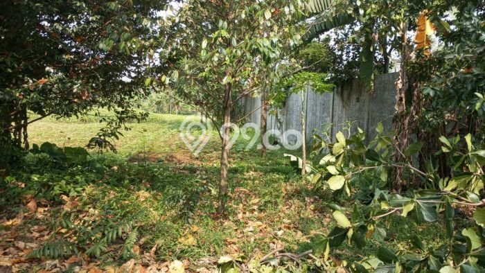 Kavling Tanah Dijual di Pamijahan Bogor Spesifikasi 41000m2 Kavling Tanah Dijual di Pamijahan Bogor Spesifikasi 41000m2