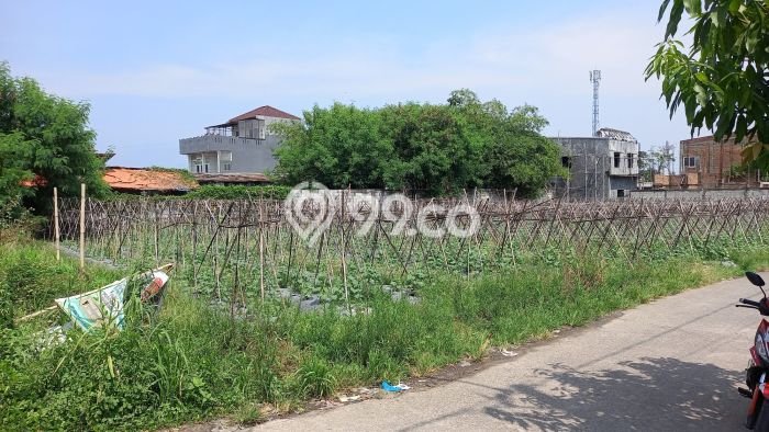 Disewakan Tanah Lokasi Strategis di Dramaga Bogor 1300m2 Disewakan Tanah Lokasi Strategis di Dramaga Bogor 1300m2