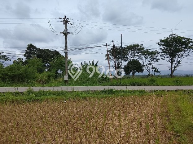 Kavling Tanah di Tenjolaya Dijual Luas 9700m2 Legalitas SHM Kavling Tanah di Tenjolaya Dijual Luas 9700m2 Legalitas SHM