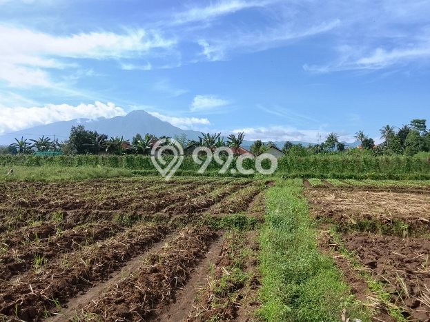 Lahan Kosong Dijual di Tenjolaya, Bogor, Luas 989m2 Area Strategis Lahan Kosong Dijual di Tenjolaya, Bogor, Luas 989m2 Area Strategis