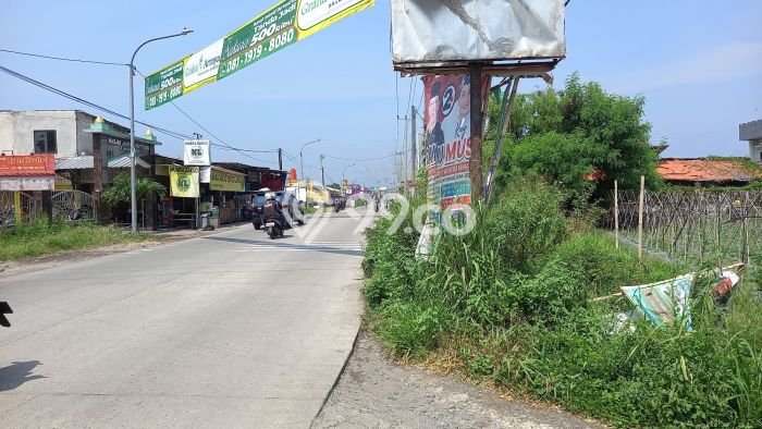 Disewakan Tanah Lokasi Strategis di Dramaga Bogor 1300m2 Disewakan Tanah Lokasi Strategis di Dramaga Bogor 1300m2