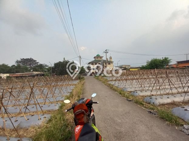 Disewakan Tanah Lokasi Strategis di Dramaga Bogor 1300m2 Disewakan Tanah Lokasi Strategis di Dramaga Bogor 1300m2
