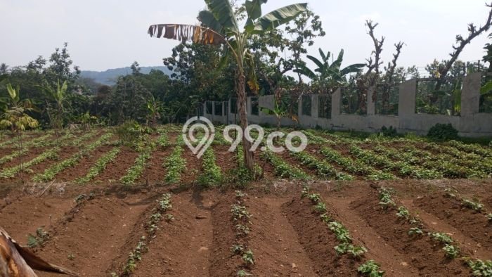 Kavling Tanah Dijual di Pamijahan Bogor Spesifikasi 41000m2 Kavling Tanah Dijual di Pamijahan Bogor Spesifikasi 41000m2