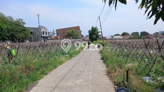 Disewakan Tanah Lokasi Strategis di Dramaga Bogor 1300m2 Disewakan Tanah Lokasi Strategis di Dramaga Bogor 1300m2