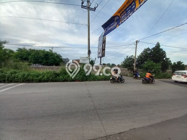 Disewakan Tanah Lokasi Strategis di Dramaga Bogor 1300m2 Disewakan Tanah Lokasi Strategis di Dramaga Bogor 1300m2