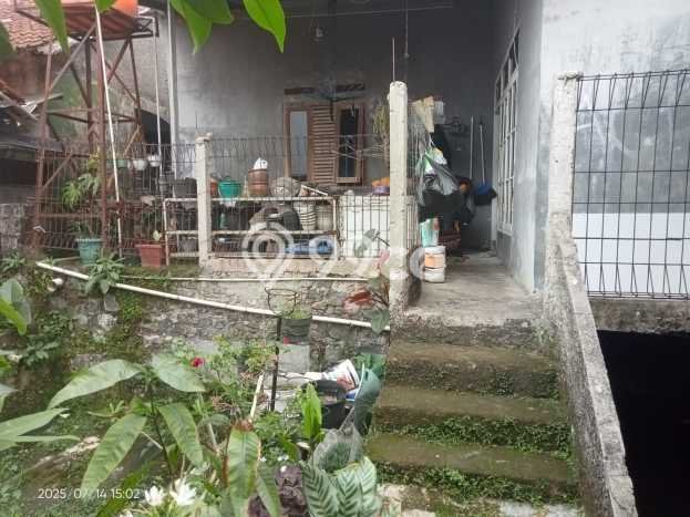 Dijual Rumah Strategis Bagus Punya 3 KT di Cijeruk Bogor SHM Dijual Rumah Strategis Bagus Punya 3 KT di Cijeruk Bogor SHM