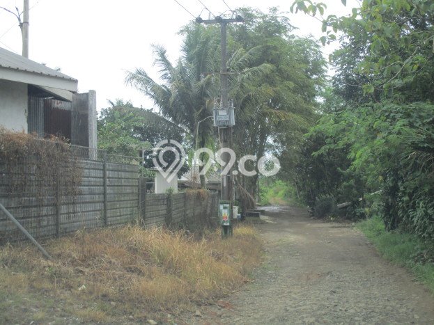 Lahan Strategis di Cigudeg Dijual dengan Luas 53000m2 Lahan Strategis di Cigudeg Dijual dengan Luas 53000m2
