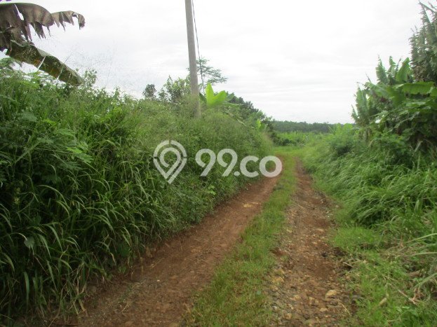 Lahan Strategis di Cigudeg Dijual dengan Luas 53000m2 Lahan Strategis di Cigudeg Dijual dengan Luas 53000m2