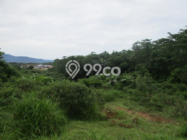 Lahan Strategis di Cigudeg Dijual dengan Luas 53000m2 Lahan Strategis di Cigudeg Dijual dengan Luas 53000m2