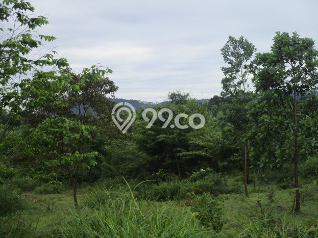 Lahan Strategis di Cigudeg Dijual dengan Luas 53000m2 Lahan Strategis di Cigudeg Dijual dengan Luas 53000m2