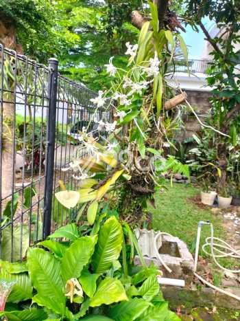 Disewakan! Rumah 3 Kamar Tidur &
3 Kamar Mandi di Sentul City, Bogor Disewakan! Rumah 3 Kamar Tidur &
3 Kamar Mandi di Sentul City, Bogor