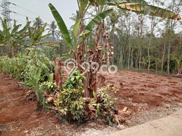 Lahan Kosong Dijual di Cikembar, Sukabumi, Luas 1098m2 Area Strategis Lahan Kosong Dijual di Cikembar, Sukabumi, Luas 1098m2 Area Strategis