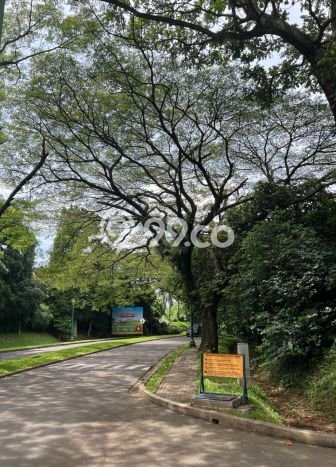 Rumah Sewa Bogor LT 84m2 LB 45m2 Area Rancamaya Rumah Sewa Bogor LT 84m2 LB 45m2 Area Rancamaya