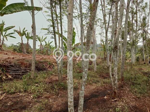 Lahan Kosong Dijual di Cikembar, Sukabumi, Luas 1098m2 Area Strategis Lahan Kosong Dijual di Cikembar, Sukabumi, Luas 1098m2 Area Strategis