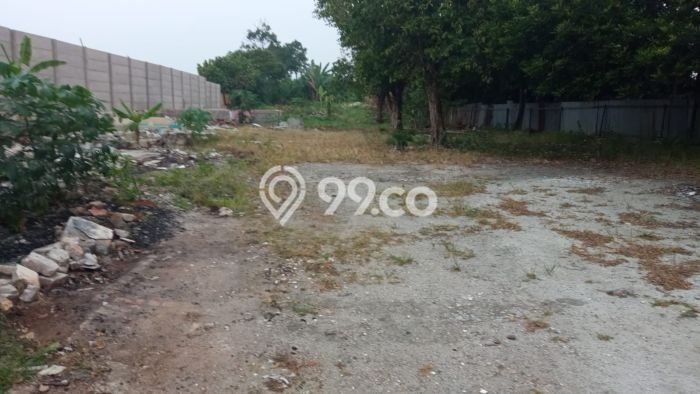 Tanah Dijual Lokasi Pamulang Tangerang Selatan SHM Tanah Dijual Lokasi Pamulang Tangerang Selatan SHM