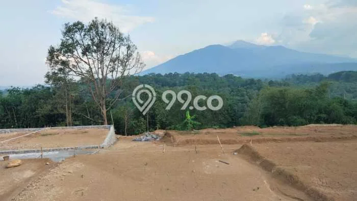 Jual Rumah Siap Huni di Gunung Pati Semarang Harga Rp 295 Juta LT 120m2 Jual Rumah Siap Huni di Gunung Pati Semarang Harga Rp 295 Juta LT 120m2