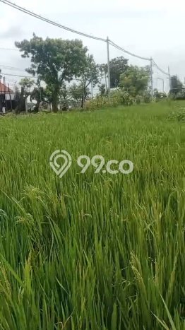 Kavling Tanah Dijual di Mantup Lamongan Spesifikasi 7000m2 Kavling Tanah Dijual di Mantup Lamongan Spesifikasi 7000m2