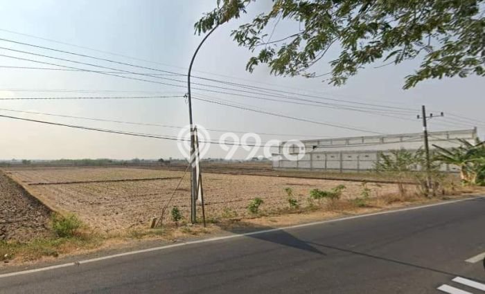Tanah Kavling di Balongpanggang Dijual dengan Luas 1600m2 Tanah Kavling di Balongpanggang Dijual dengan Luas 1600m2