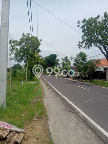 Kavling Tanah Dijual di Mantup Lamongan Spesifikasi 7000m2 Kavling Tanah Dijual di Mantup Lamongan Spesifikasi 7000m2