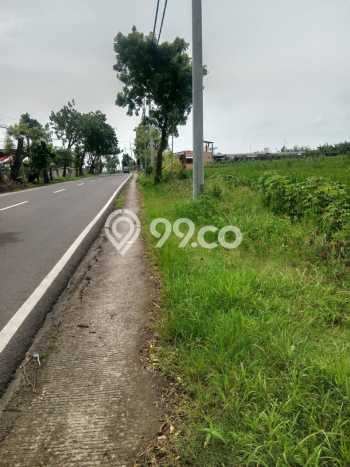 Kavling Tanah Dijual di Mantup Lamongan Spesifikasi 7000m2 Kavling Tanah Dijual di Mantup Lamongan Spesifikasi 7000m2