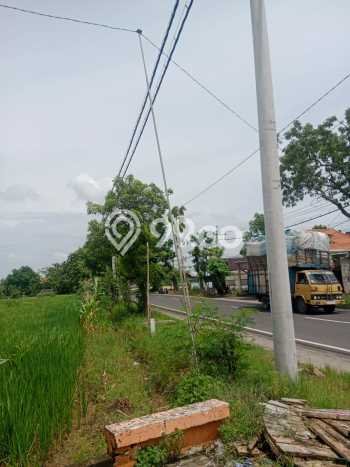 Kavling Tanah Dijual di Mantup Lamongan Spesifikasi 7000m2 Kavling Tanah Dijual di Mantup Lamongan Spesifikasi 7000m2