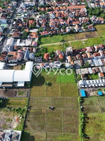Jarang Ada! Tanah Kavling Disewakan di Denpasar 100m2 Jarang Ada! Tanah Kavling Disewakan di Denpasar 100m2