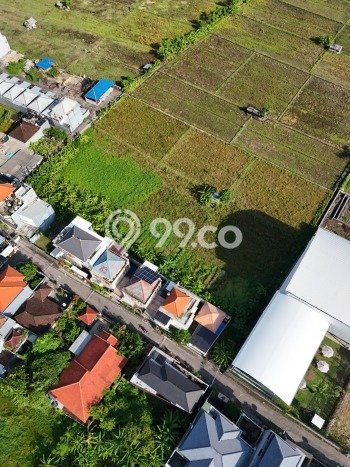 Jarang Ada! Tanah Kavling Disewakan di Denpasar 100m2 Jarang Ada! Tanah Kavling Disewakan di Denpasar 100m2