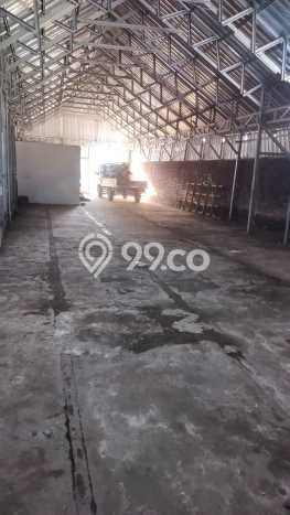 FOR RENT! Gudang di Peguyangan Kaja Cocok untuk Bisnis 200m2 FOR RENT! Gudang di Peguyangan Kaja Cocok untuk Bisnis 200m2