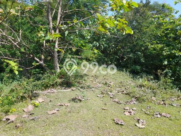 Tanah Kavling di Tembalang Dijual dengan Luas 17203m2 Tanah Kavling di Tembalang Dijual dengan Luas 17203m2