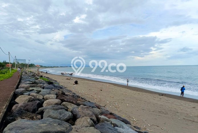 Tanah Kavling Dijual di Denpasar dengan Spesifikasi 3800m2 Tanah Kavling Dijual di Denpasar dengan Spesifikasi 3800m2