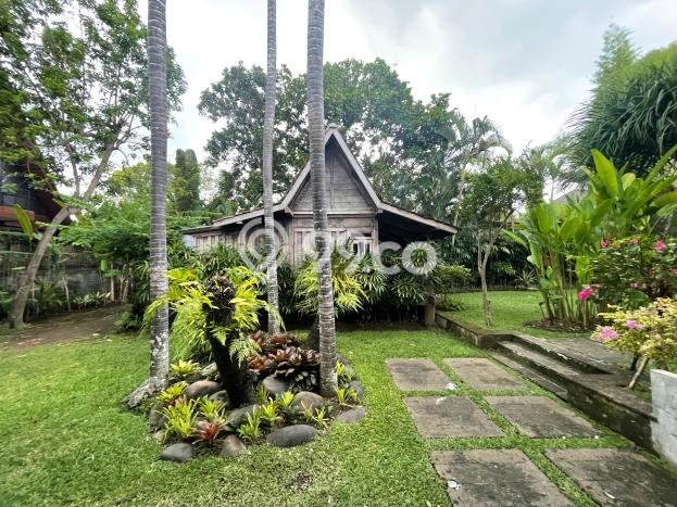 Hunian Bagus Disewakan di canggu, Badung LT 900m2, LB 500m2 Hunian Bagus Disewakan di canggu, Badung LT 900m2, LB 500m2