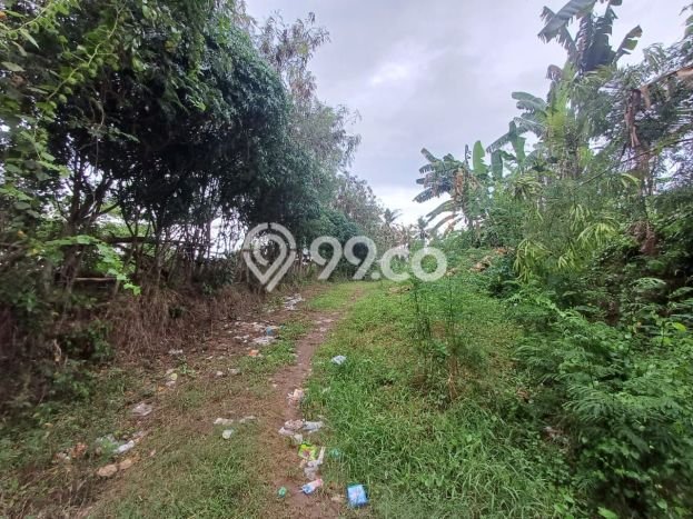 Tanah Kavling Dijual di Keramas, Gianyar dengan Luas Tanah 266000m2 Tanah Kavling Dijual di Keramas, Gianyar dengan Luas Tanah 266000m2