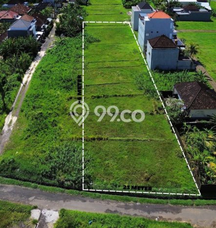 Dijual Tanah di Tabanan Tabanan Luas 1980m2 SHM Dijual Tanah di Tabanan Tabanan Luas 1980m2 SHM