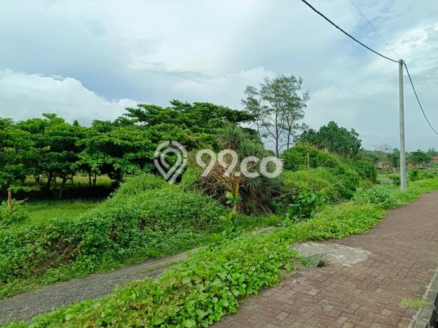 Tanah Kavling Dijual di Denpasar dengan Spesifikasi 3800m2 Tanah Kavling Dijual di Denpasar dengan Spesifikasi 3800m2