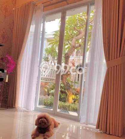Siap Huni Rumah Mewah 3 Kamar di Denpasar Barat Dekat ke Mana Saja Siap Huni Rumah Mewah 3 Kamar di Denpasar Barat Dekat ke Mana Saja