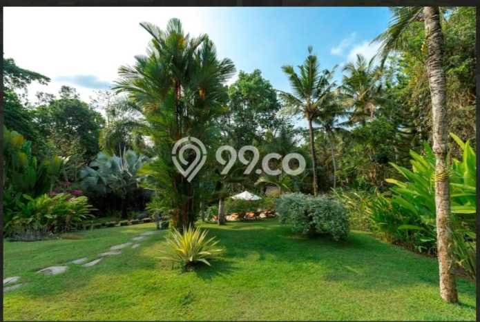 Rumah Elit Modern Siap Huni di canggu Badung Rumah Elit Modern Siap Huni di canggu Badung