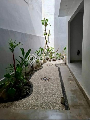 Dijual Rumah 3 Kamar Lokasi Strategis Nyaman dan Strategis di Denpasar Utara Dijual Rumah 3 Kamar Lokasi Strategis Nyaman dan Strategis di Denpasar Utara