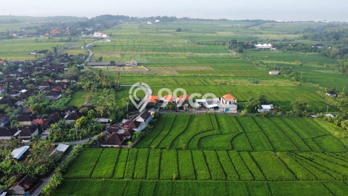 Tanah Dijual Lokasi Strategis di Tabanan dengan Luas 2600m2 Tanah Dijual Lokasi Strategis di Tabanan dengan Luas 2600m2