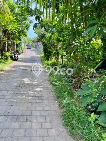 Tanah Kavling Dijual di Badung dengan Spesifikasi 1000m2 Tanah Kavling Dijual di Badung dengan Spesifikasi 1000m2