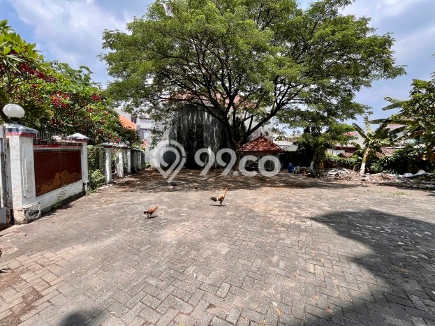 Kost Dijual Lokasi Strategis Dukuh Kupang Surabaya 42 Kamar Tidur Kost Dijual Lokasi Strategis Dukuh Kupang Surabaya 42 Kamar Tidur